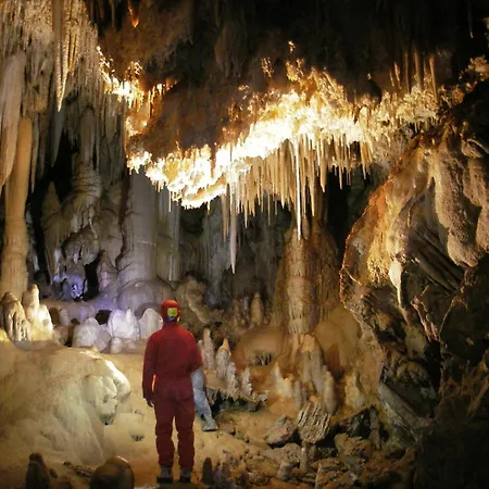 Bed & Breakfast Seahorseroom - Frontemare Con Idromassaggio