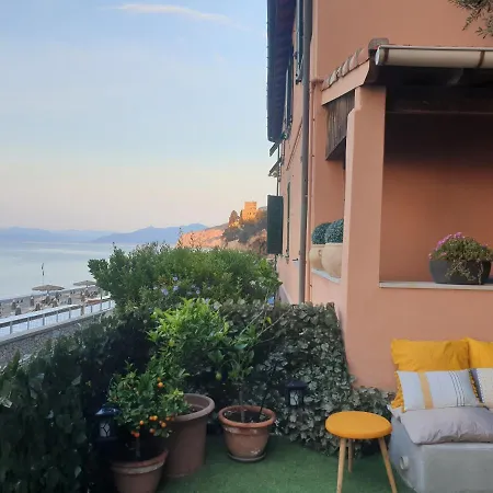 Seahorseroom 菲纳莱利古雷