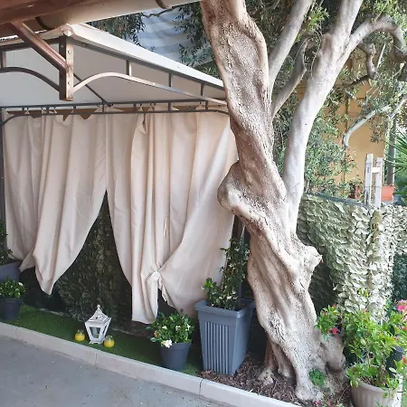 Bed & Breakfast Seahorseroom 3*
